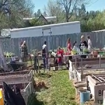 Hot Springs Community Garden and Seven Sisters Youth Garden