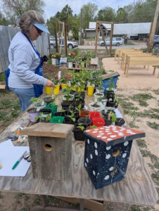 Hot Springs Community Garden and Seven Sisters Youth Garden