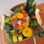 Hot Springs Community Garden and Seven Sisters Youth Garden