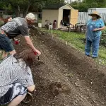 Hot Springs Community Garden and Seven Sisters Youth Garden