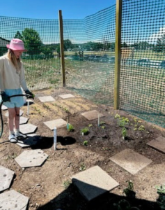 Seven Sisters Youth Garden