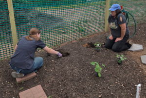 Seven Sisters Youth Garden