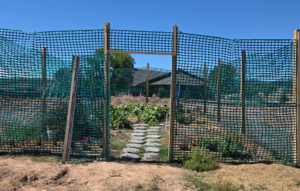 Seven Sisters Youth Garden