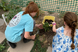 Seven Sisters Youth Garden